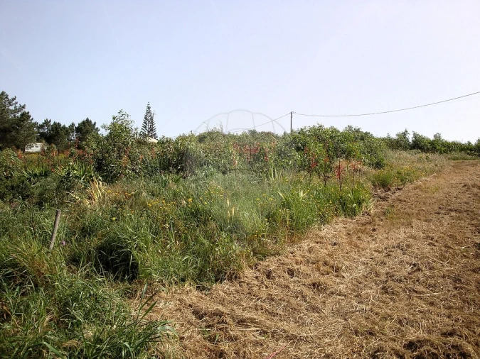 Terreno para Venda em Aljezur Foto 6