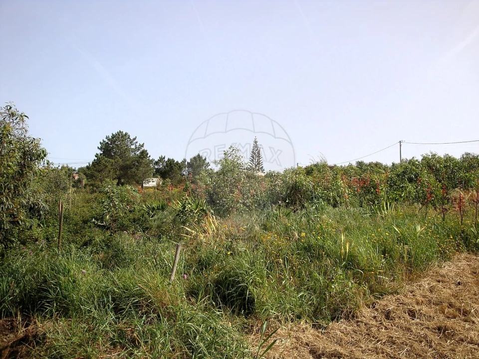 Terreno para Venda em Aljezur Foto 3