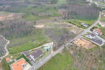 Terreno para Venda em Macinhata do Vouga