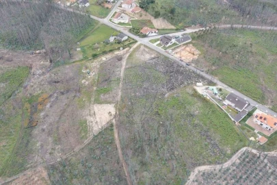 Terreno para Venda em Macinhata do Vouga