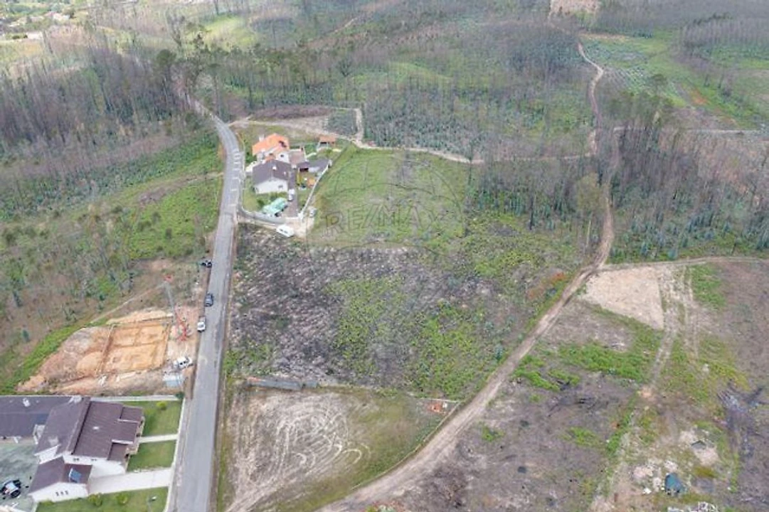 Terreno para Venda em Macinhata do Vouga Foto 5