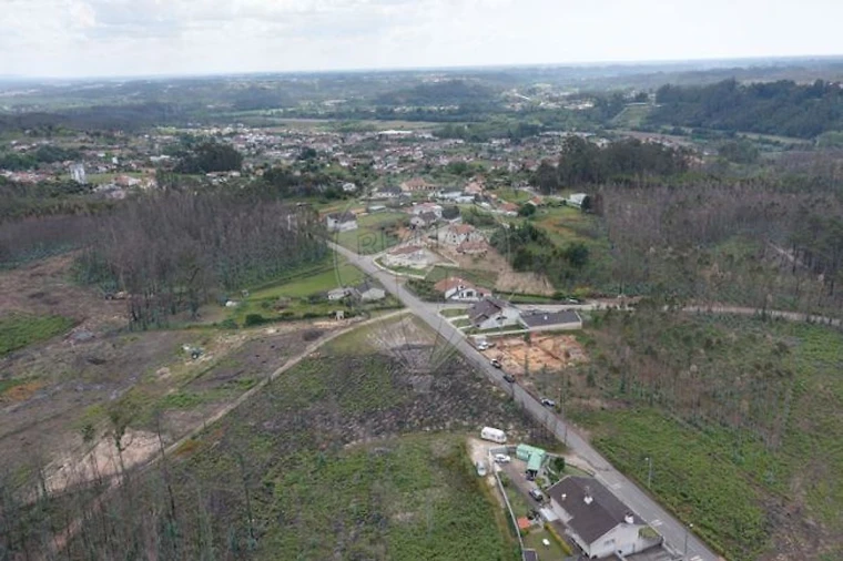 Terreno para Venda em Macinhata do Vouga Foto 11