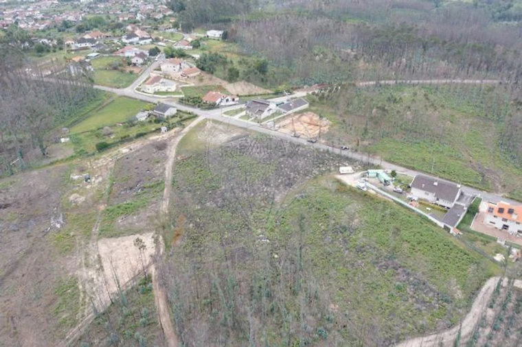 Terreno para Venda em Macinhata do Vouga Foto 10