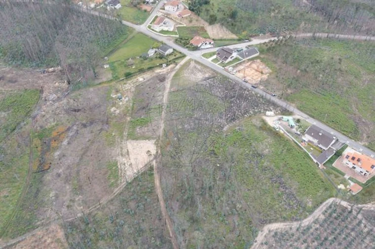 Terreno para Venda em Macinhata do Vouga Foto 3