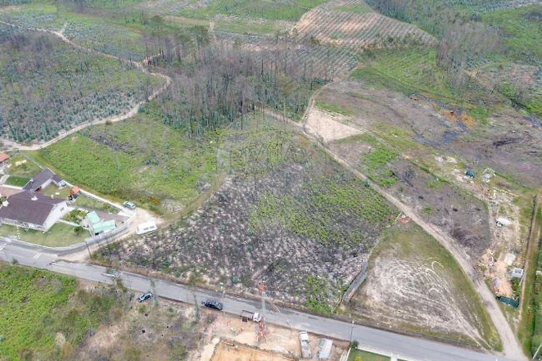 Terreno para Venda em Macinhata do Vouga Foto 4