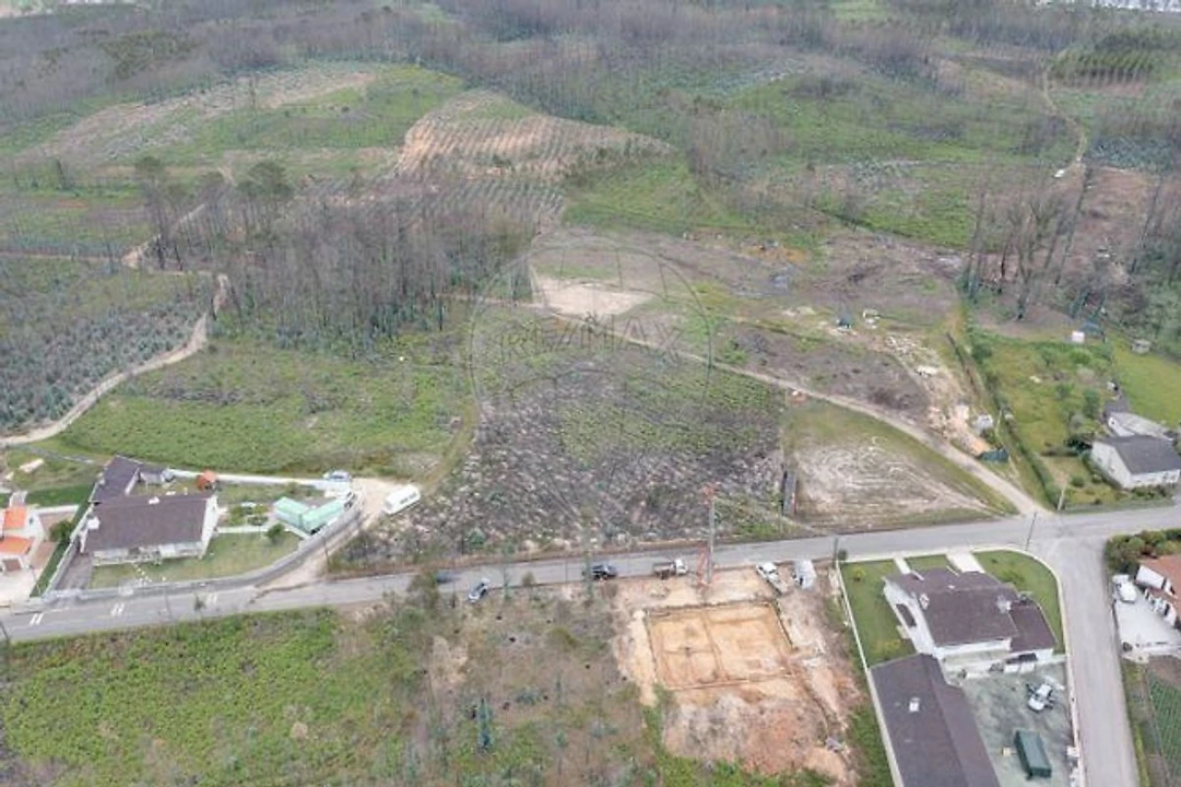 Terreno para Venda em Macinhata do Vouga Foto 8