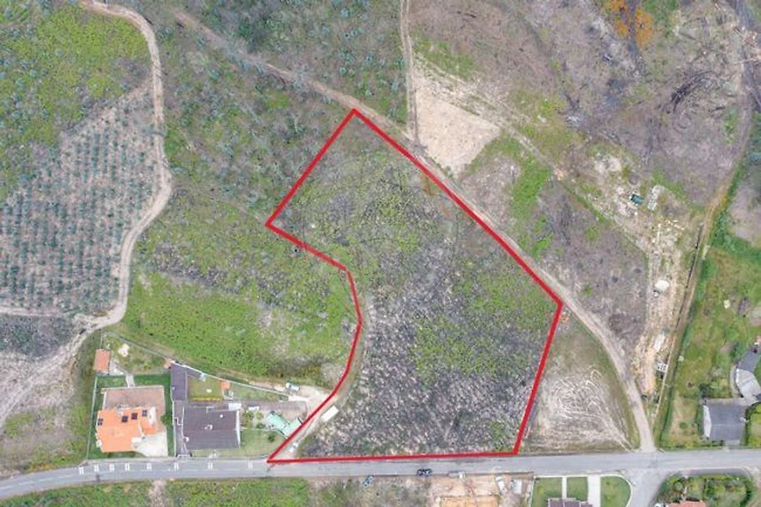 Terreno para Venda em Macinhata do Vouga Foto 13