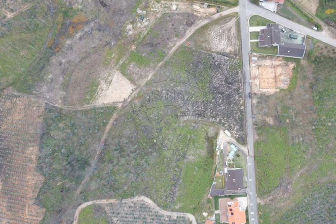 Terreno para Venda em Macinhata do Vouga Foto 2