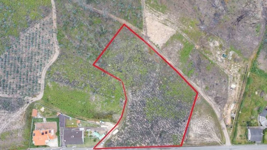 Terreno para Venda em Macinhata do Vouga