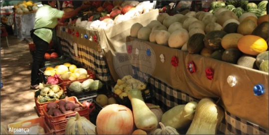 Terreno para Venda em Alpiarça