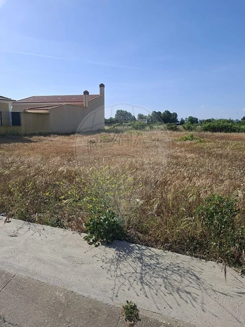 Terreno para Venda em Alpiarça