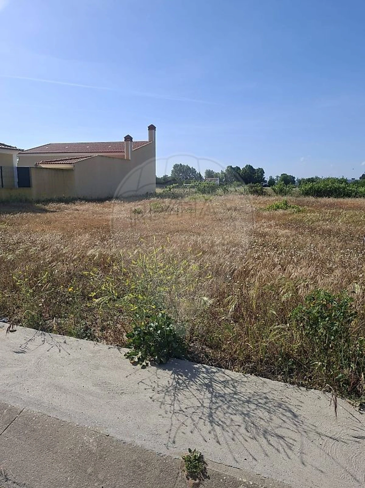 Terreno para Venda em Alpiarça Foto 8