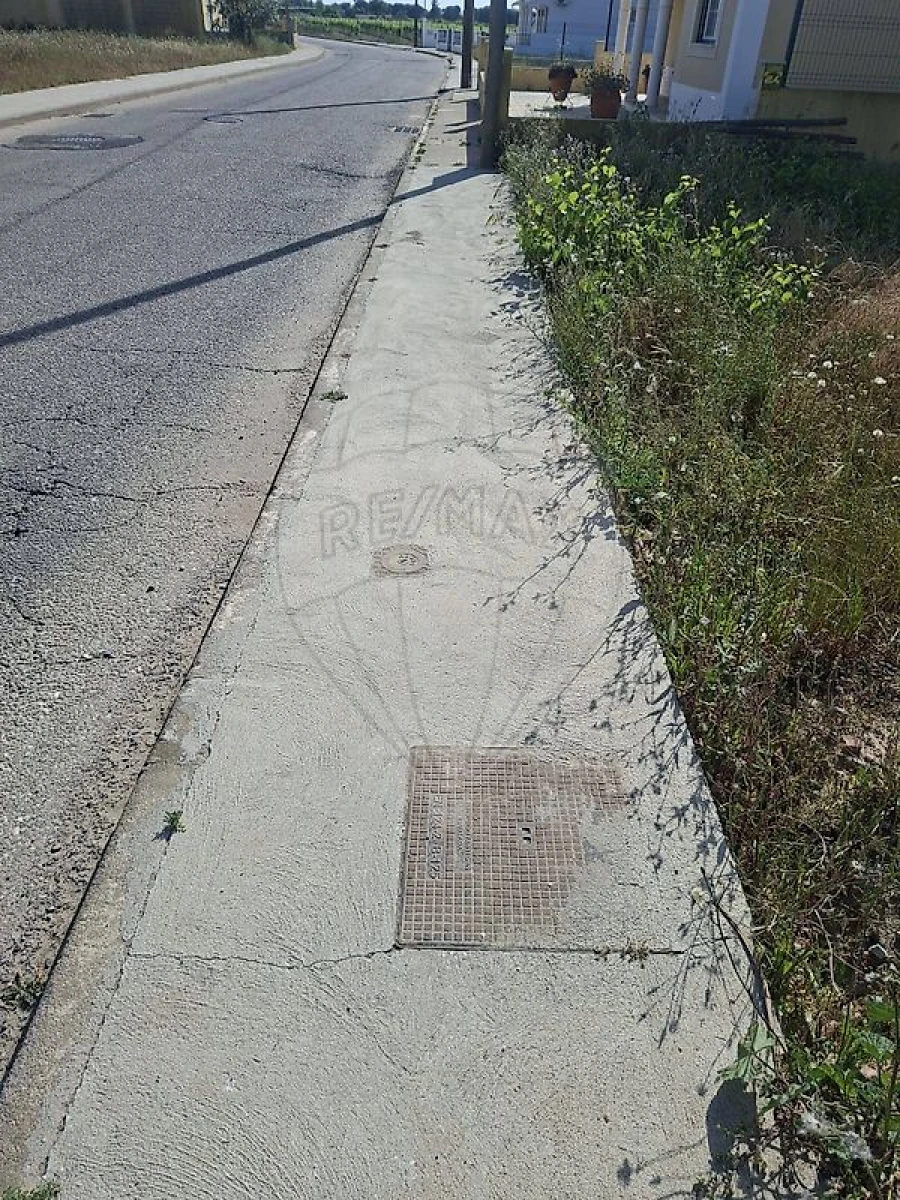 Terreno para Venda em Alpiarça Foto 5