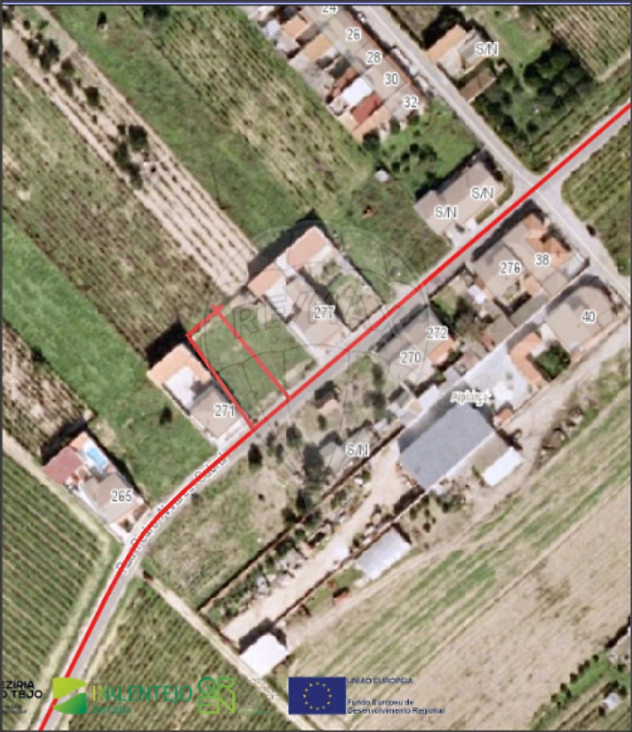 Terreno para Venda em Alpiarça Foto 3