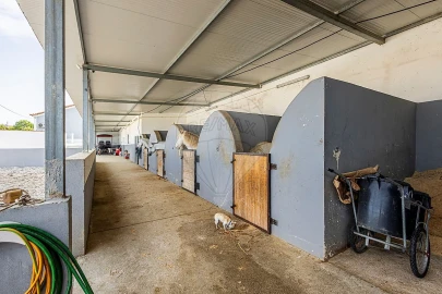 Moradia T3 para Venda em Ereira e Lapa