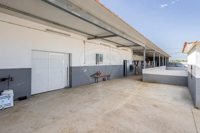 Moradia T3 para Venda em Ereira e Lapa