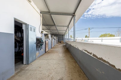 Moradia T3 para Venda em Ereira e Lapa