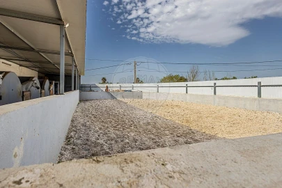 Moradia T3 para Venda em Ereira e Lapa