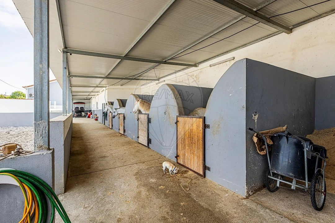 Moradia T3 para Venda em Ereira e Lapa Foto 9