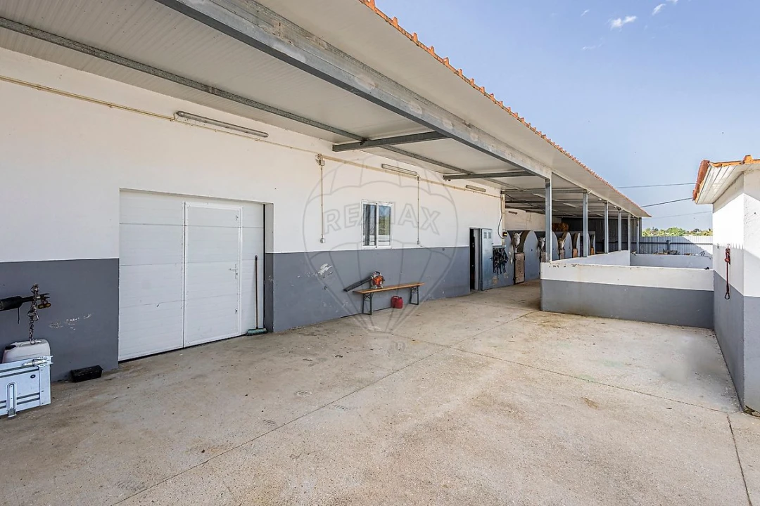 Moradia T3 para Venda em Ereira e Lapa Foto 10