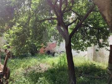 Armazém para Venda em Benfica do Ribatejo