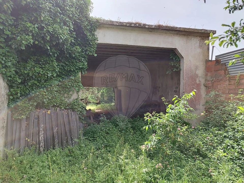 Armazém para Venda em Benfica do Ribatejo Foto 5