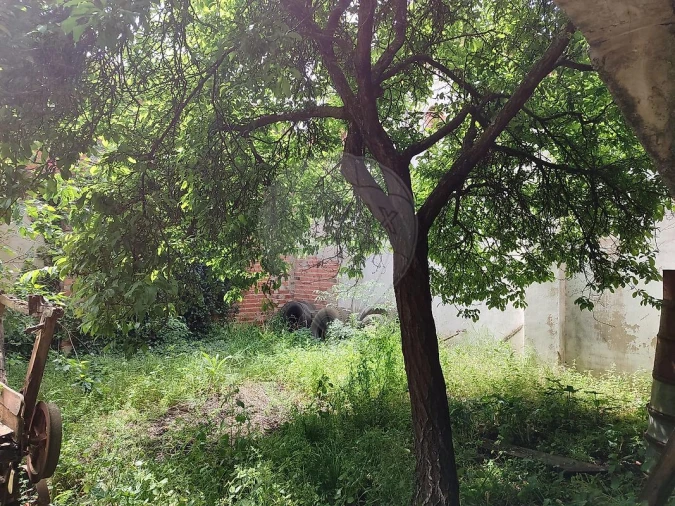 Armazém para Venda em Benfica do Ribatejo Foto 6