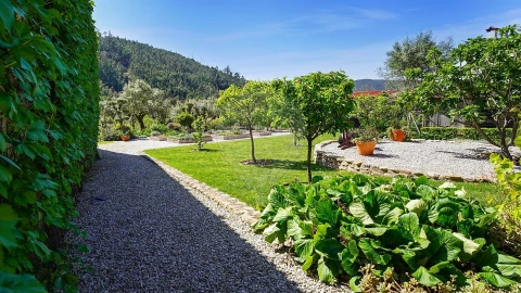 Moradia T3 para Venda em Vila Nova do Ceira