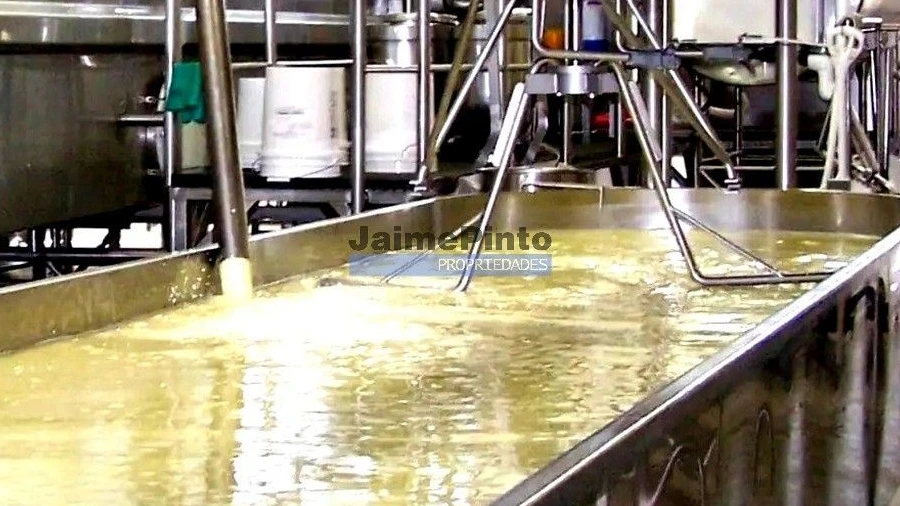 Armazém para Venda em Gouveia (São Pedro e São Julião)