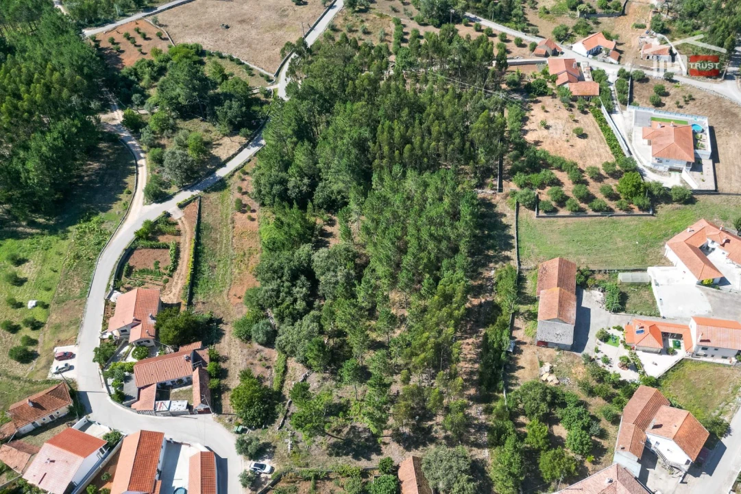 Terreno Agricola ou Rústico para Venda em São Mamede Foto 8