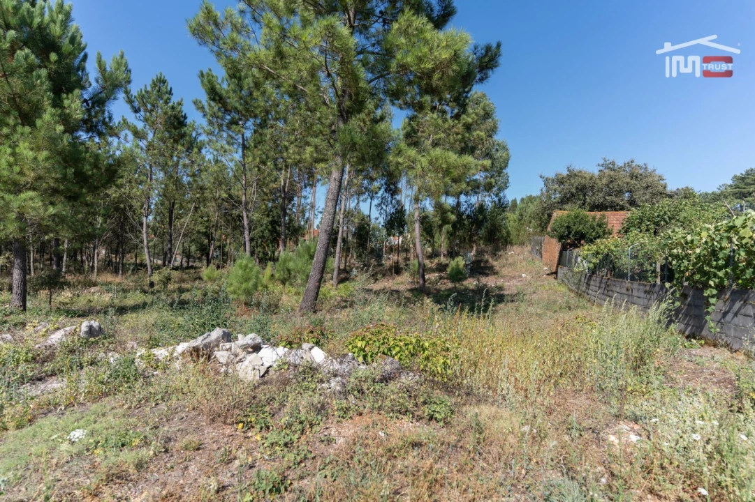 Terreno Agricola ou Rústico para Venda em São Mamede Foto 1