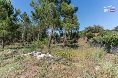 Terreno Agricola ou Rústico para Venda em São Mamede