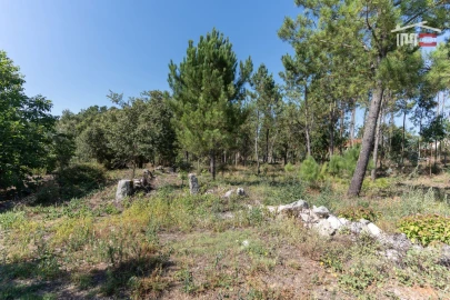 Terreno Agricola ou Rústico para Venda em São Mamede