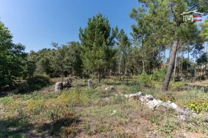 Terreno Agricola ou Rústico para Venda em São Mamede