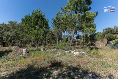 Terreno Agricola ou Rústico para Venda em São Mamede