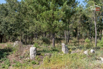 Terreno Agricola ou Rústico para Venda em São Mamede