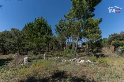 Terreno Agricola ou Rústico para Venda em São Mamede