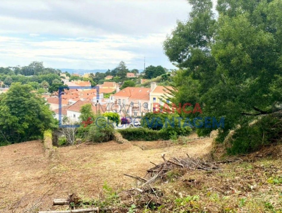 Terreno P/ Prédio para Venda em Santa Maria e São Miguel, São Martinho, São Pedro Penaferrim Foto 1