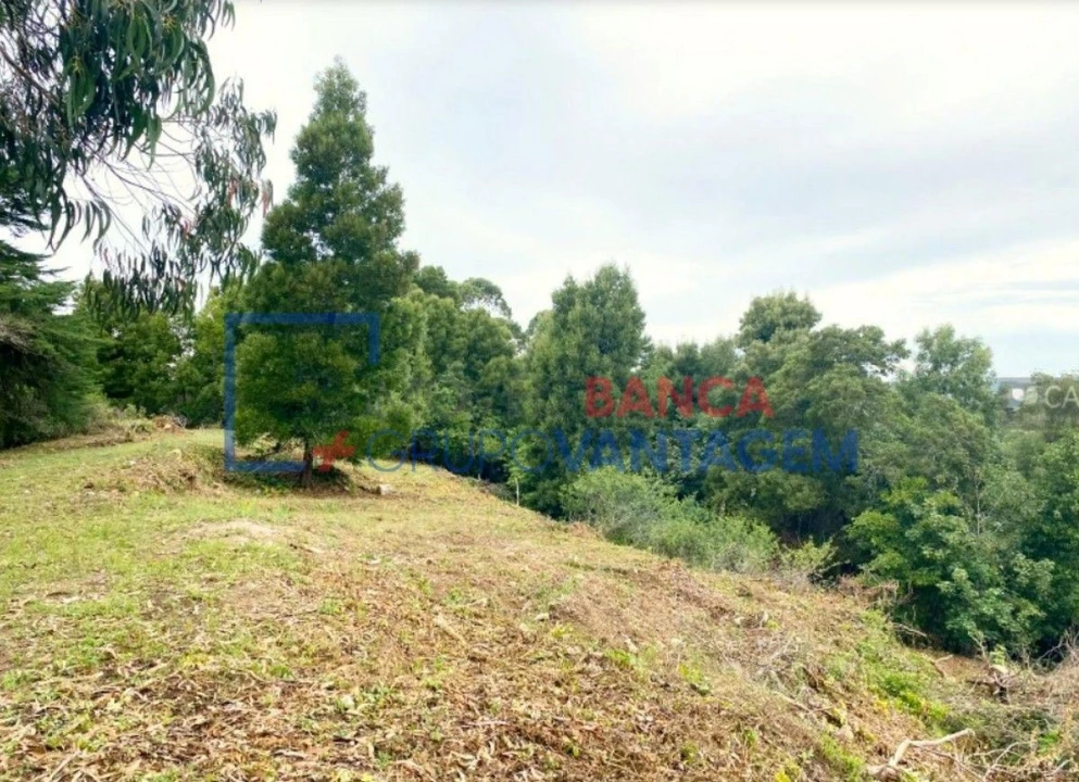 Terreno P/ Prédio para Venda em Santa Maria e São Miguel, São Martinho, São Pedro Penaferrim Foto 4