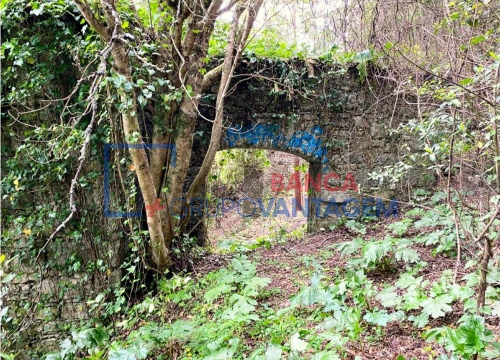 Terreno P/ Prédio para Venda em Santa Maria e São Miguel, São Martinho, São Pedro Penaferrim Foto 7
