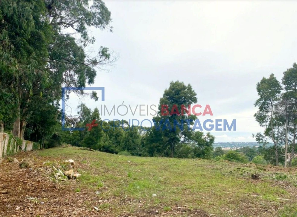 Terreno P/ Prédio para Venda em Santa Maria e São Miguel, São Martinho, São Pedro Penaferrim Foto 12