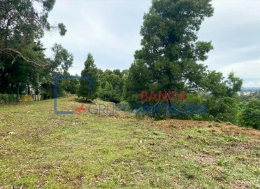 Terreno P/ Prédio para Venda em Santa Maria e São Miguel, São Martinho, São Pedro Penaferrim