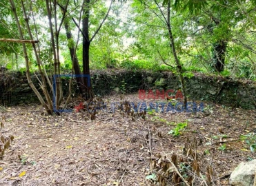 Terreno P/ Prédio para Venda em Santa Maria e São Miguel, São Martinho, São Pedro Penaferrim