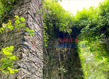 Terreno P/ Prédio para Venda em Santa Maria e São Miguel, São Martinho, São Pedro Penaferrim