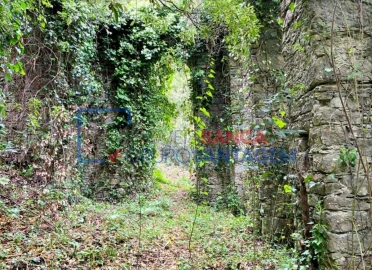 Terreno P/ Prédio para Venda em Santa Maria e São Miguel, São Martinho, São Pedro Penaferrim