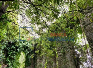 Terreno P/ Prédio para Venda em Santa Maria e São Miguel, São Martinho, São Pedro Penaferrim