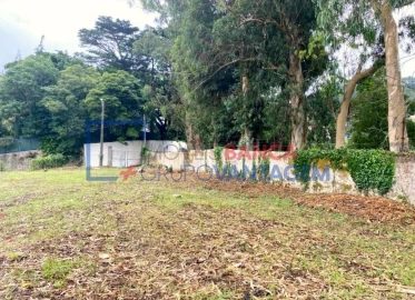 Terreno P/ Prédio para Venda em Santa Maria e São Miguel, São Martinho, São Pedro Penaferrim