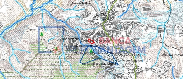 Terreno P/ Prédio para Venda em Santa Maria e São Miguel, São Martinho, São Pedro Penaferrim