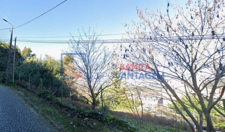 Terreno P/ Prédio para Venda em Santa Maria e São Miguel, São Martinho, São Pedro Penaferrim
