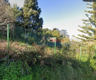 Terreno P/ Prédio para Venda em Santa Maria e São Miguel, São Martinho, São Pedro Penaferrim